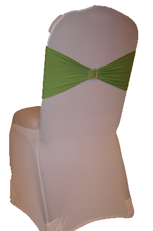 Apple Green Band on White