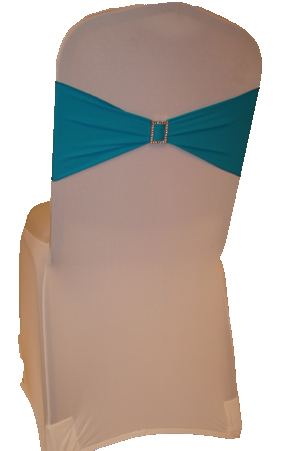 Aqua Band on White