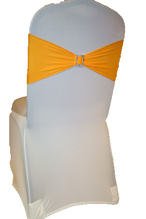 Citrus Band on White