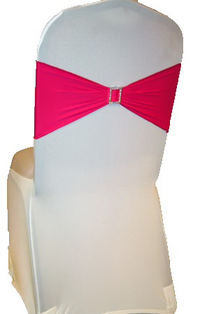 Fuschia Band on White