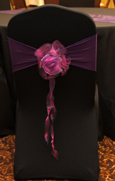 Purple Rose on Black