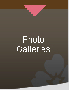 Photo Galleries